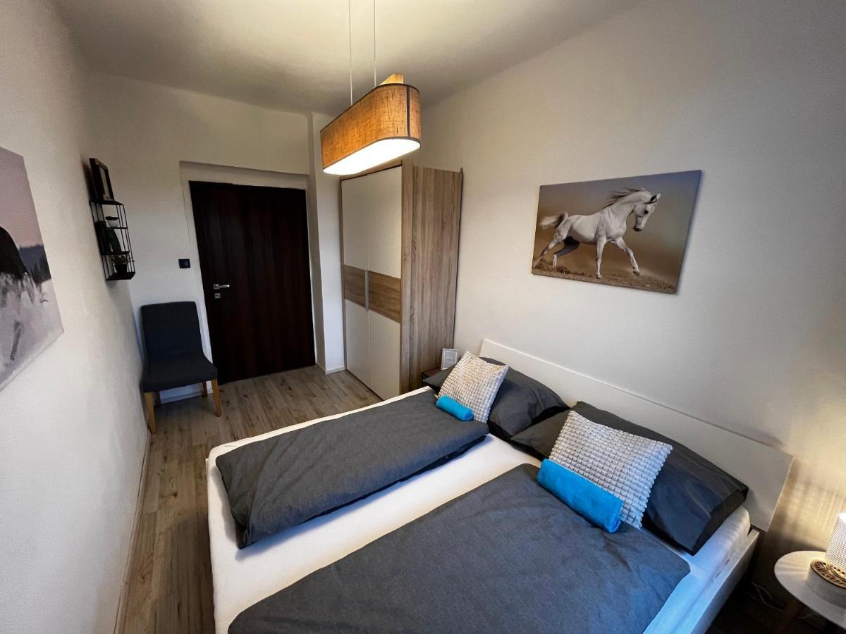 Large 3 Bedroom Apartment With City Skyline View Karlovy Vary Dış mekan fotoğraf