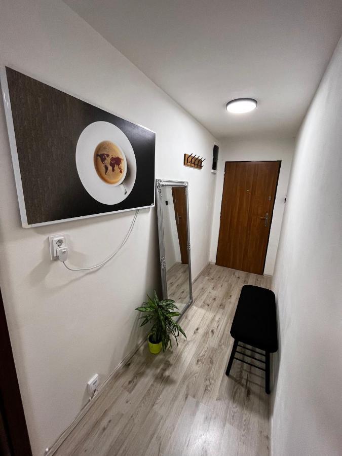 Large 3 Bedroom Apartment With City Skyline View Karlovy Vary Dış mekan fotoğraf
